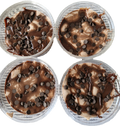 Chocolate Indulgence