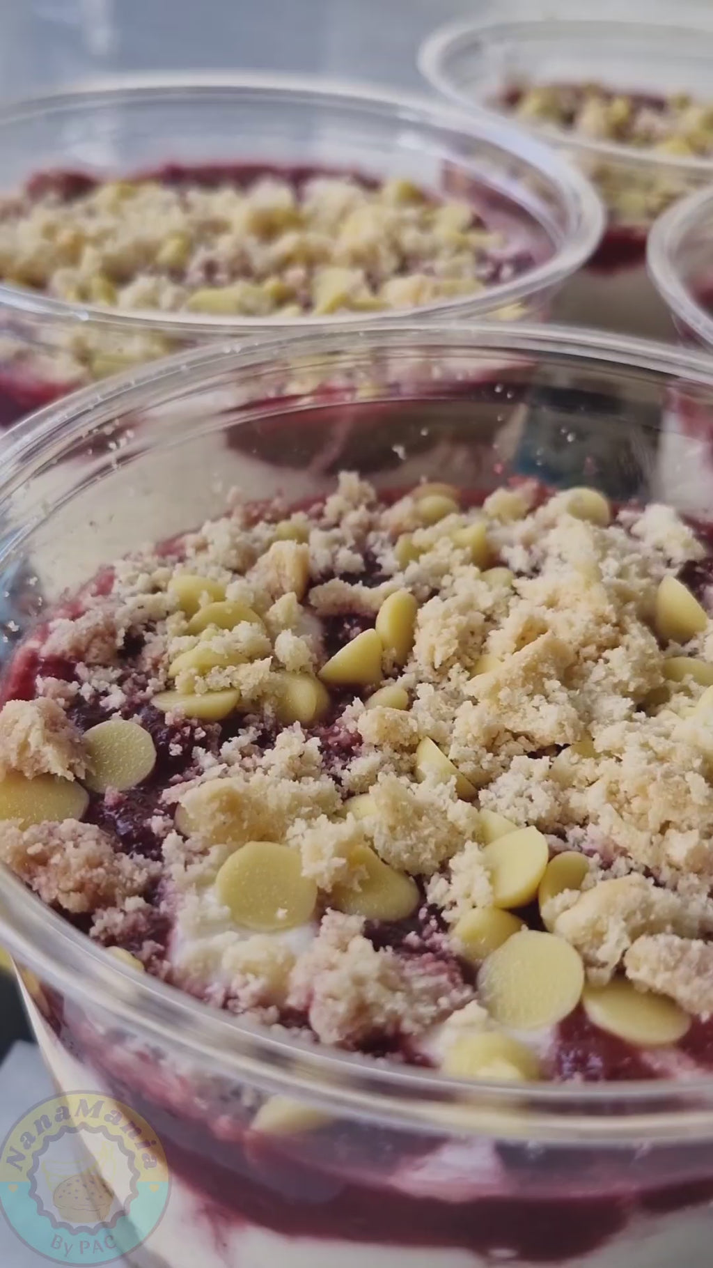 Choc Berry Bikkie